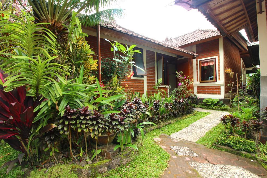 Made Homestay Munduk Екстер'єр фото