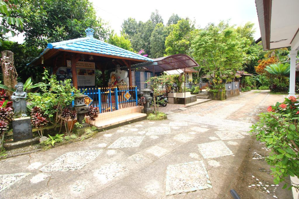 Made Homestay Munduk Екстер'єр фото